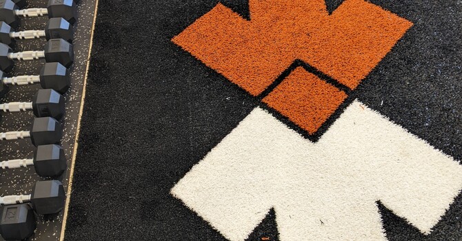 La kinésiologie au Québec : Une voie vers le bien-être et l'épanouissement personnel image