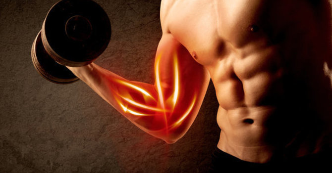 Musculation et renforcement