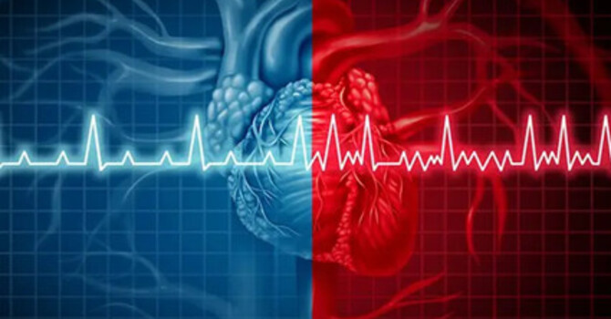 Le système sympathique vs parasympathique : comprendre votre équilibre intérieur image