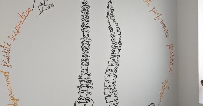 L'effet cascade des dysfonctions vertébrales : comprendre la subluxation chiropratique