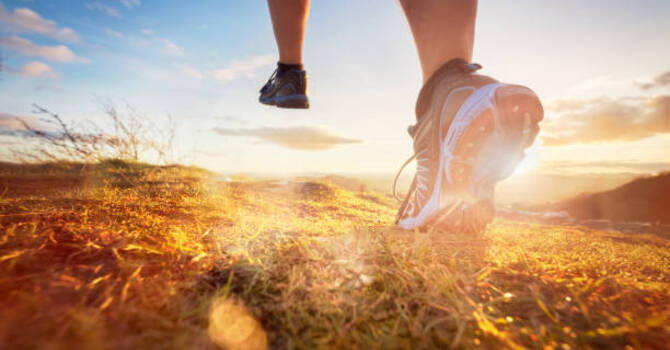 Analyse de tâche : La course en trail