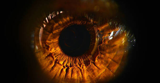 L'entraînement visuel: Le secret bien gardé?