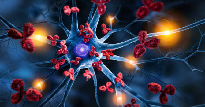 Le système neuro - immunitaire image